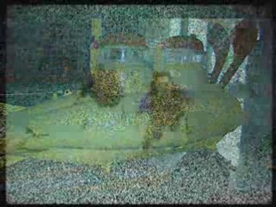 Nemo 33 Opus N°05 1er Episode