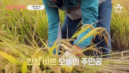 [예고] 50년 차 베테랑 농부! 마을의 제일가는 일꾼이 일상생활이 버거워진 이유는?