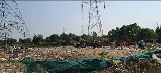 Napa and company employees are destroying the cleanliness campaign.