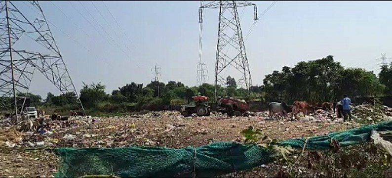 Napa and company employees are destroying the cleanliness campaign.