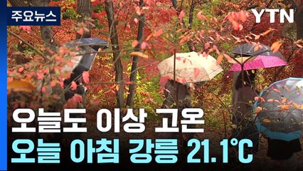 [날씨] 사흘째 11월 이상 고온...비 내리며 다음 주 기온 '뚝' / YTN