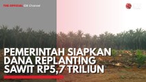 Pemerintah Siapkan Dana Replanting Sawit Rp5,7 Triliun