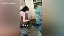 Balıklara yemek yedirmek isteyen genç kızın başına gelen korkunç olay sosyal medyayı salladı!