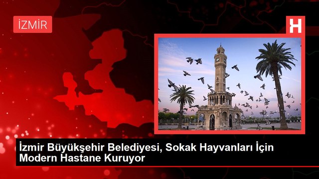 İzmir Büyükşehir Belediyesi, Sokak Hayvanları İçin Modern Hastane Kuruyor