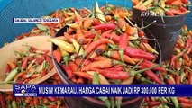 Akibat Musim Kemarau, Harga Cabai di Kota Baubau Naik Jadi Rp 300.000 Per Kg