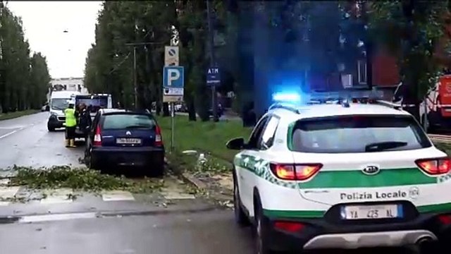 Maltempo a Milano: rimosso un albero caduto a C? Granda