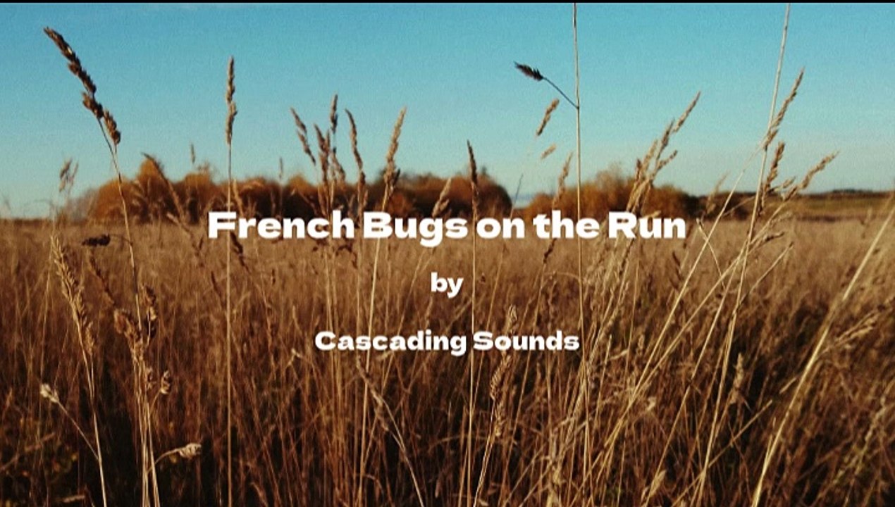Marseille Mantis March - Cascading Sounds