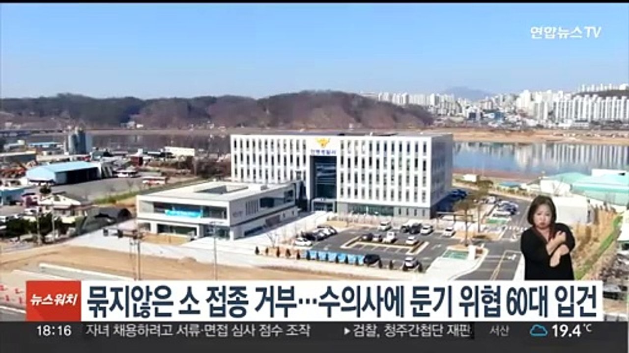 결박 안 된 소 접종 거부한 수의사에 둔기 위협 60대 입건