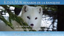 Kina & Yuk -  Kina & Yuk  Renards de la banquise - Trailer