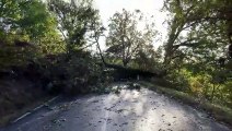 Maltempo in Toscana, grosso albero crolla sulla provinciale nel Senese (Video Paolo Lazzeroni)