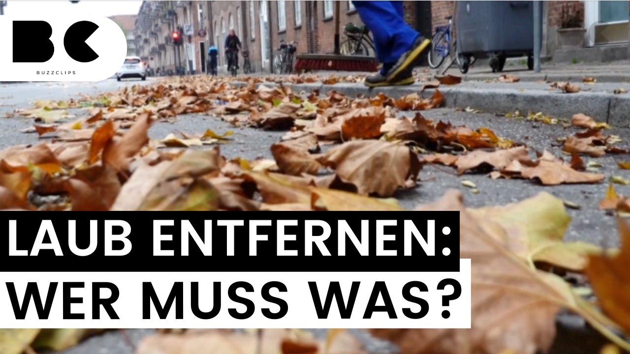 Laub entfernen im herbst: wer muss was?
