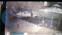 Cara de pau! ladrão desativa portão eletrônico e furta Honda Biz no São Cristóvão