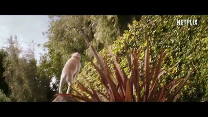 Family Switch Bande-annonce (DE)