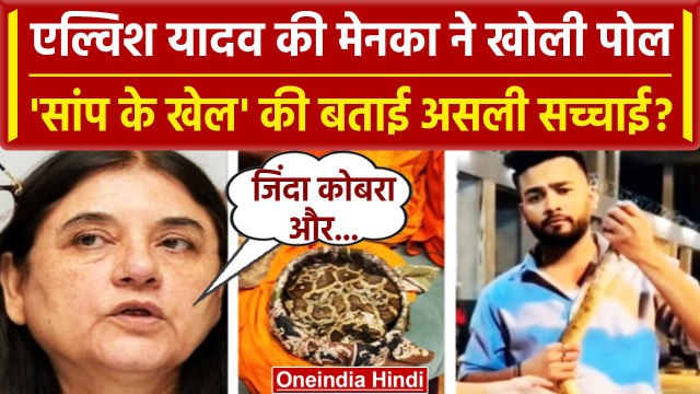 Elvish Yadav पर Maneka Gandhi ने लगाए गंभीर आरोप, बताई कैसी सच्चाई? | वनइंडिया हिंदी