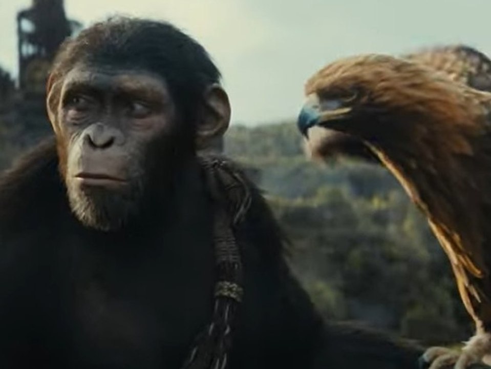 'Planet der Affen: New Kingdom': Erster Trailer zum Actionfilm ist da