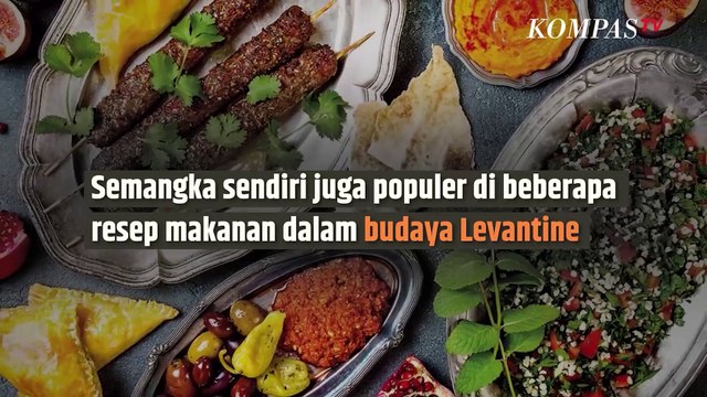 Ini Asal-usul Semangka Jadi Simbol Solidaritas Dukungan untuk Palestina | SINAU