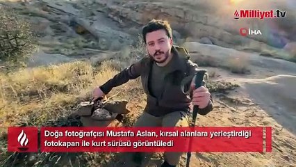 Gece karanlığında görüntülenen 'canavarlar' tüyleri ürpertti