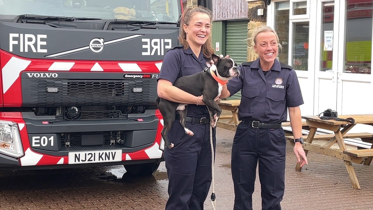 Newcastle Cat and Dog shelter and the fires service share advice ahead of Bonfire Night