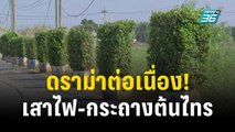 ดราม่าต่อเนื่อง! เสาไฟ-กระถางต้นไทร อบต.หนองปรือ | เข้มข่าวค่ำ | 3 พ.ย. 66