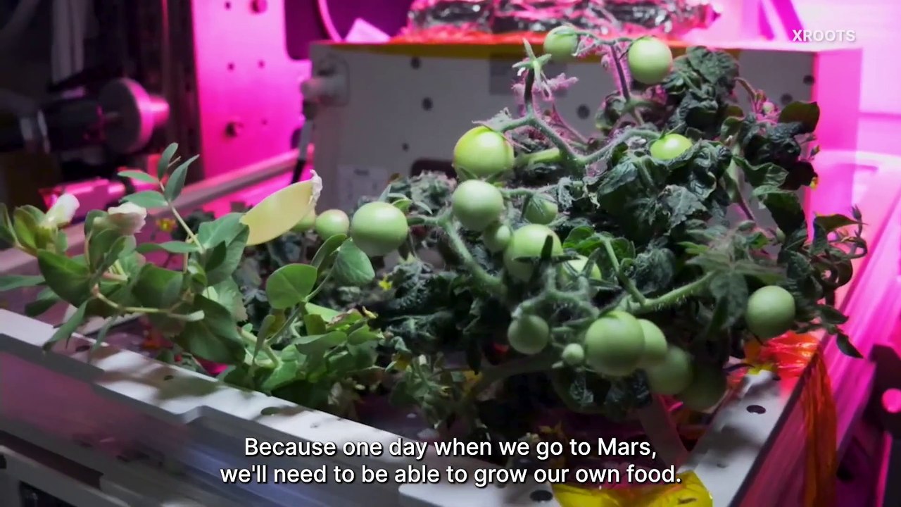 NASA Astronaut Frank Rubio A Year of Science in Space