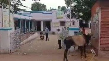 निवाड़ी: रेलिंग से टकराई मोटरसाइकिल, चालक गंभीर रूप से हुआ घायल