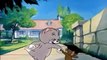 Tom and Jerry Cartoons Classic collection (HQ) (4)