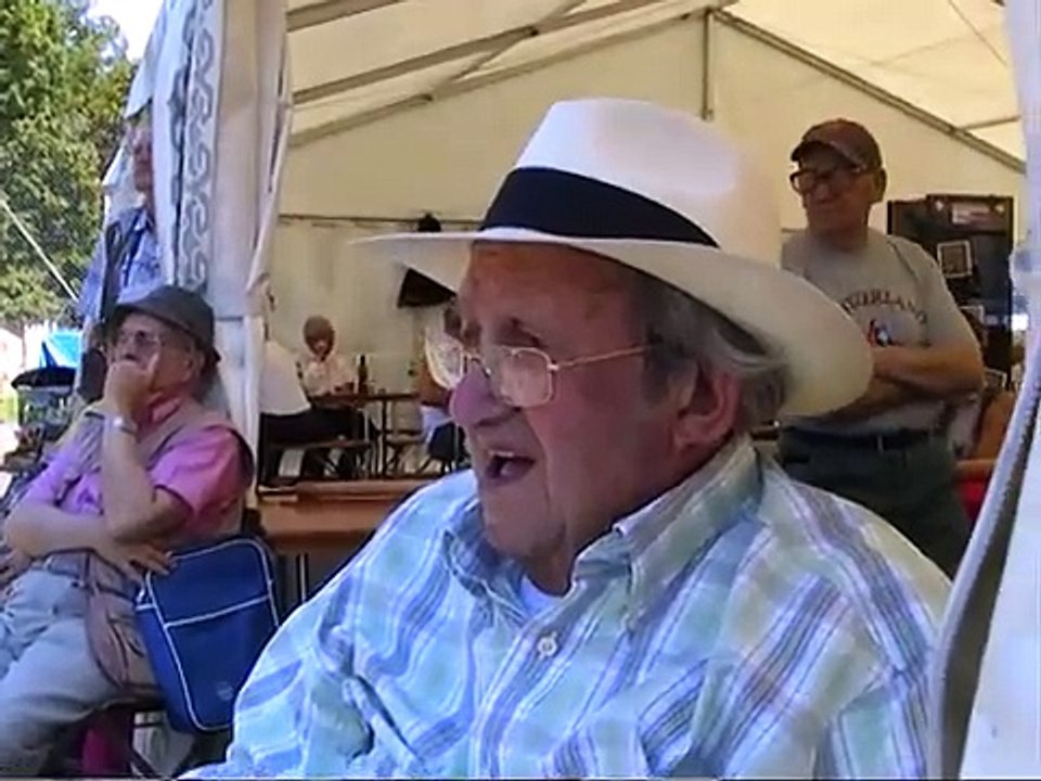 Roger François Masson, Les promenades Suisse en fêtes, art air