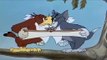 My-Cartoon For Kids Tom And Jerry English Ep. - Flirty Birdy  - Cartoons For Kids Tv