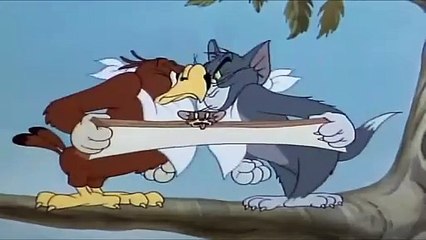 My-Cartoon For Kids Tom And Jerry English Ep. - Flirty Birdy  - Cartoons For Kids Tv