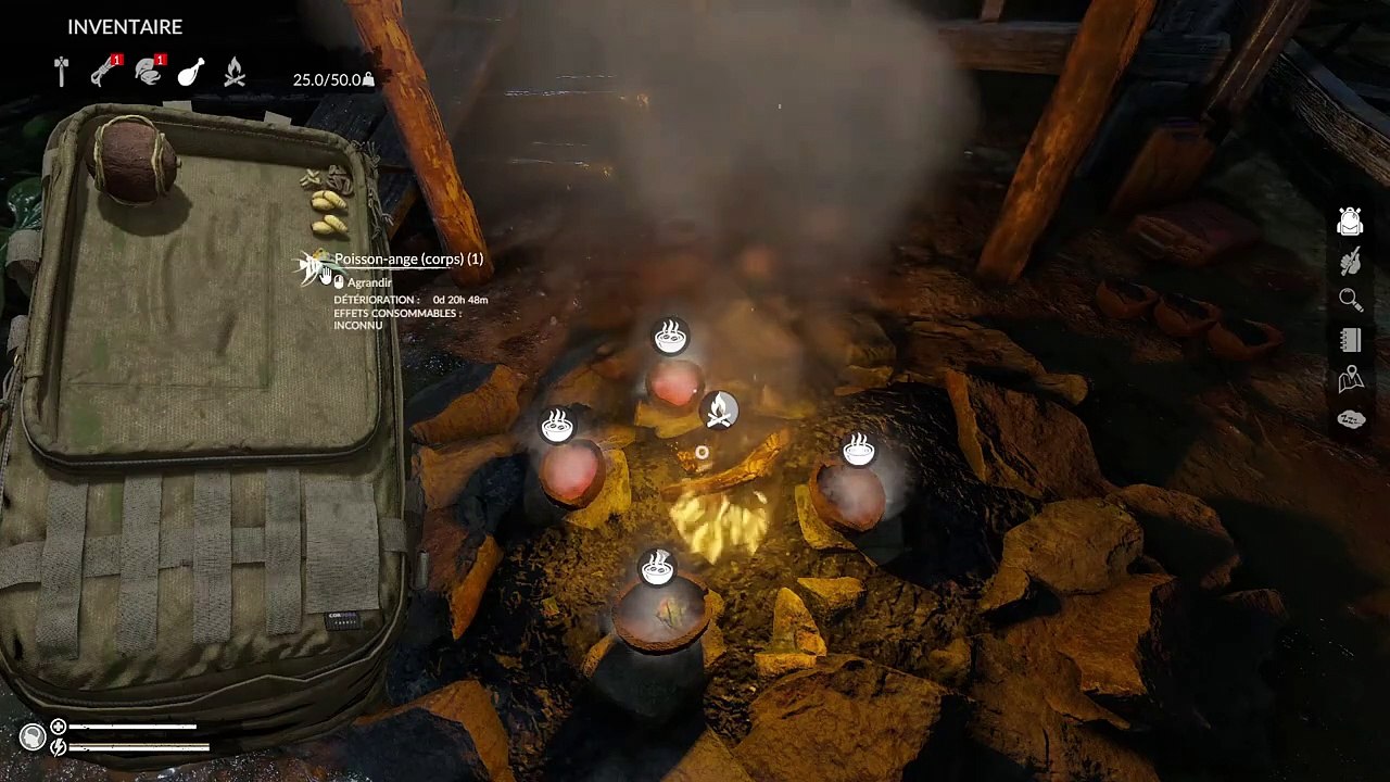 Green Hell - #5 - Une grotte, des Papoux et un puma