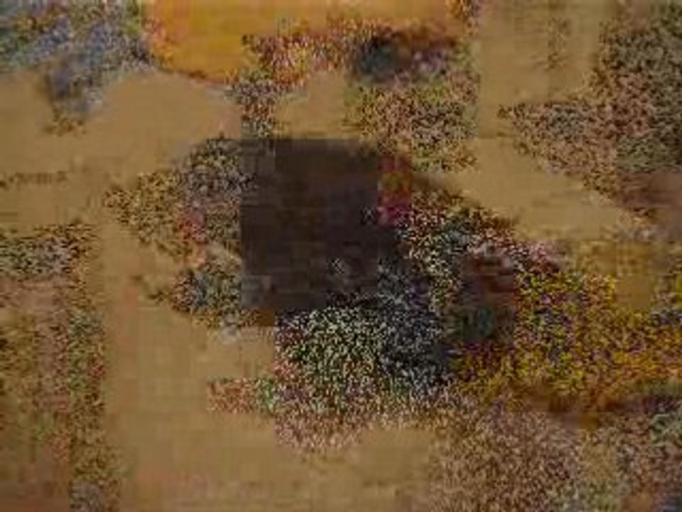 arbre à chat - suite de l'épisode