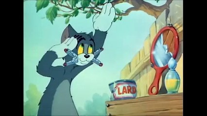 Tom and Jerry (2)