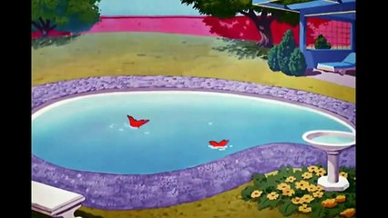 Tom and Jerry Cartoon Classic Collection Full Episode Part 12