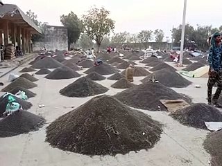 किसान चार दिन से तुलाई का कर रहे इंतजार-video