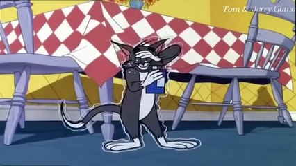Tom and Jerry - Purr Chance To Dream 1967 - [ T&j Movie ]  Ep. 17