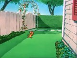 Tom and Jerry cartoon episode 60 - Slicked up Pup 1951 - Funny animals cartoons for kids