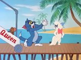 Tom and Jerry cartoon episode 121 - Calypso Cat 1962 - Funny animals cartoons for kids