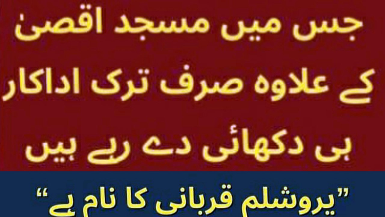 Salahuddin Ayyubi' series set to grace Turkish screens on this date