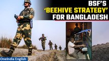 BSF Implements Beehive Strategy to Curb Rising Border Crossings from Bangladesh| OneIndia News