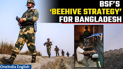 BSF Implements Beehive Strategy to Curb Rising Border Crossings from Bangladesh| OneIndia News