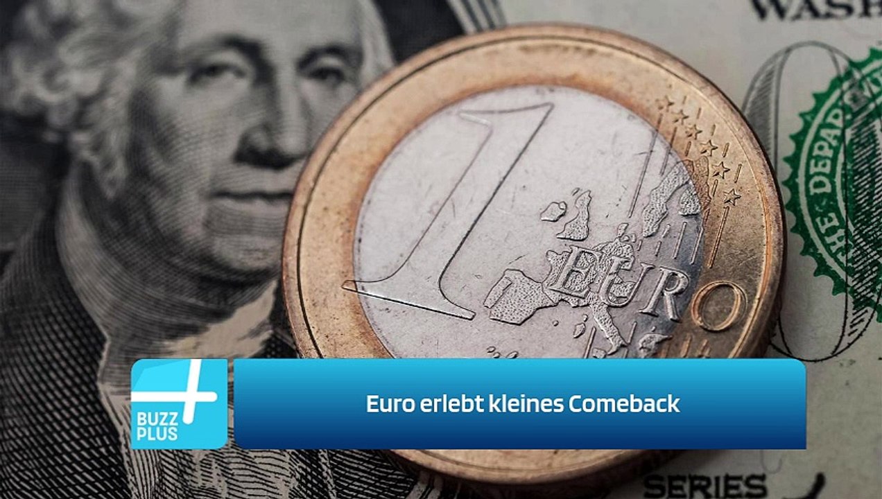 Euro erlebt kleines Comeback