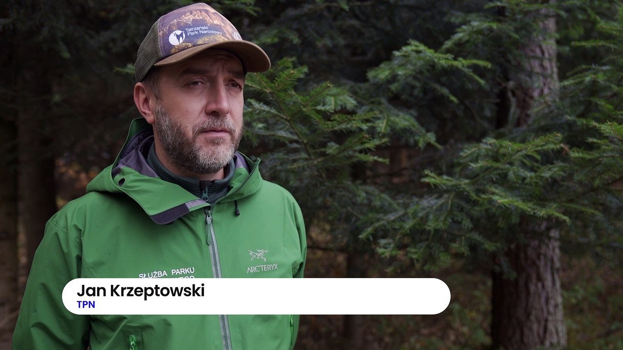 Tatry - halny powalił drzewa, zamknięte szlaki w górach