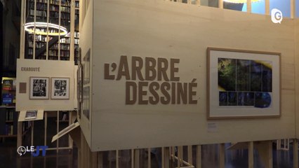 Le JT - 03/11/23 - Lancey Energy Storage, Arbre dessiné, Pickleball, Chartreuse Backyard