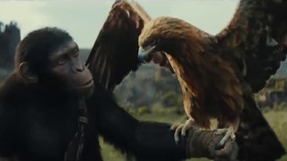 Kingdom of the Planet of the Apes _ Teaser Trailer