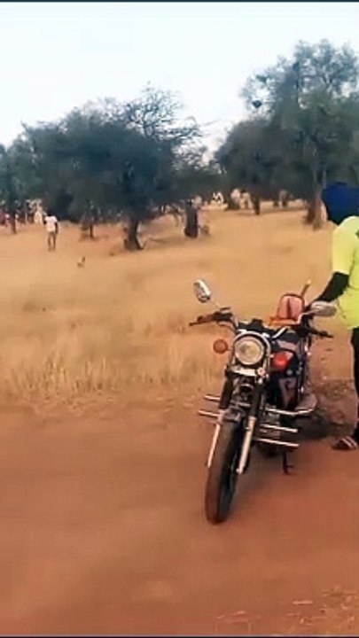 Feu de brousse à Podor : Un éleveur perd 160 tê...