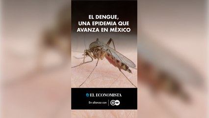 El dengue, una epidemia que avanza en México