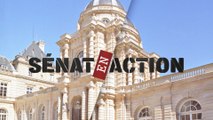 Sénat en action - Villes moyennes, l'autre visage des émeutes