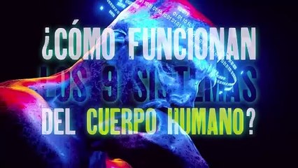 下载视频: Te explicamos: ¿Cómo funcionan los 9 sistemas del cuerpo humano? - #ExclusivoMSP