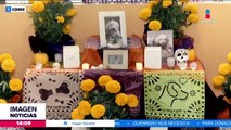 Así son los servicios funerarios para mascotas