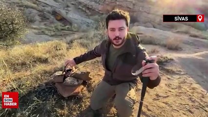 Gece karanlığında kurt sürüsü görüntüledi